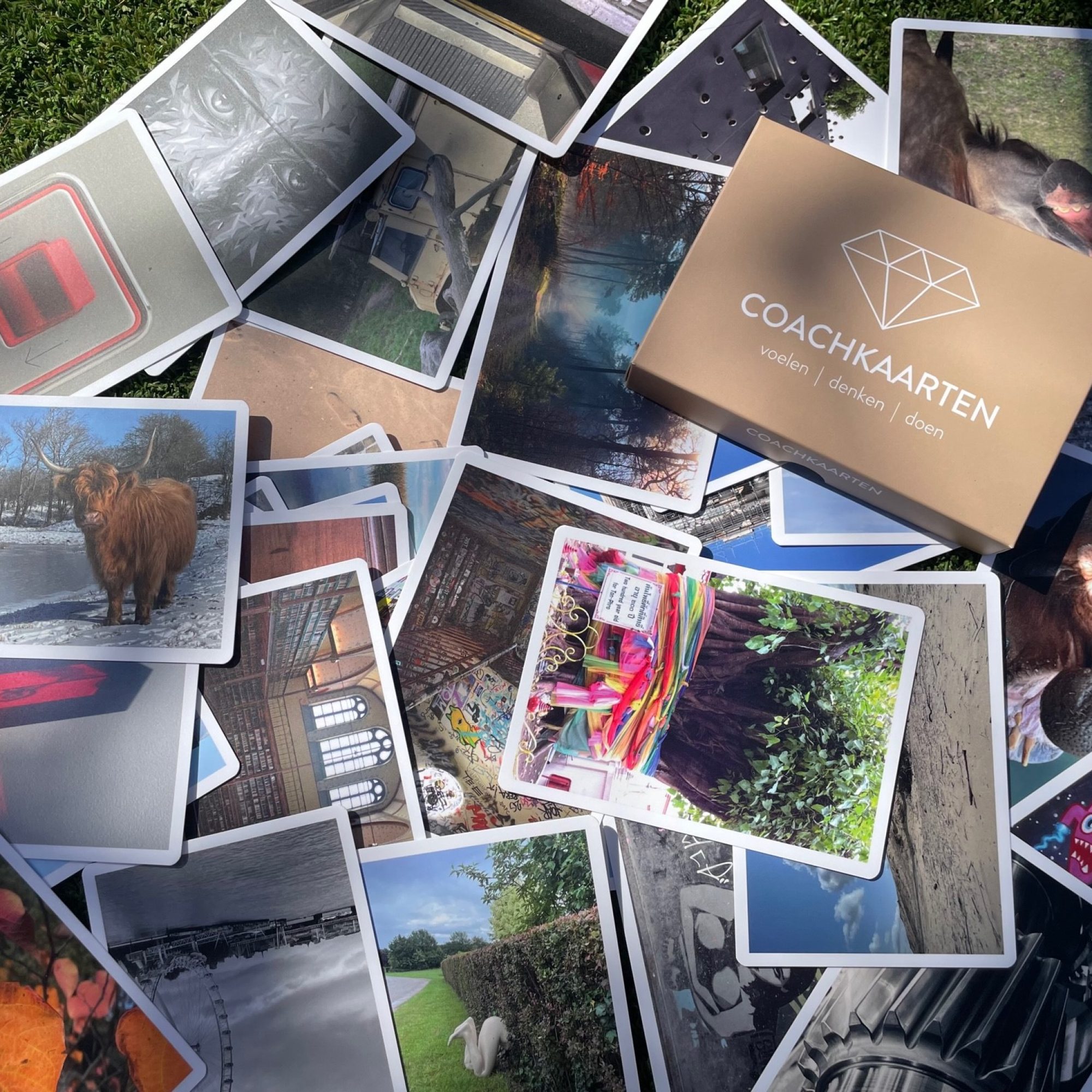 Coachkaarten